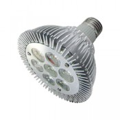 Led Ampuller